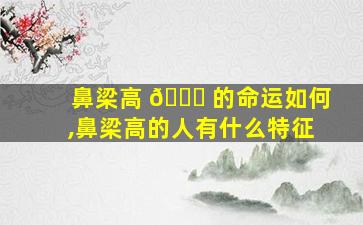 鼻梁高 🍁 的命运如何,鼻梁高的人有什么特征